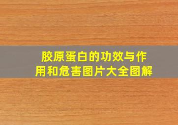 胶原蛋白的功效与作用和危害图片大全图解