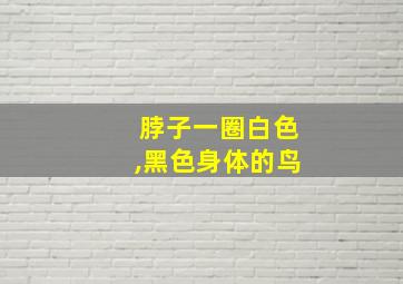 脖子一圈白色,黑色身体的鸟