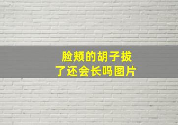 脸颊的胡子拔了还会长吗图片