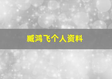 臧鸿飞个人资料