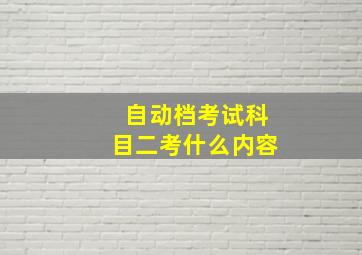 自动档考试科目二考什么内容