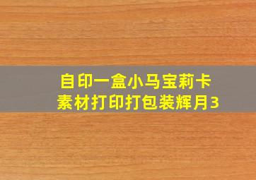 自印一盒小马宝莉卡素材打印打包装辉月3