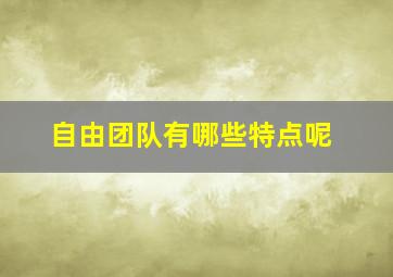 自由团队有哪些特点呢