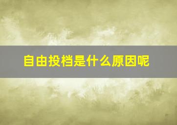 自由投档是什么原因呢