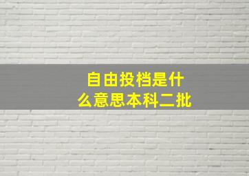 自由投档是什么意思本科二批