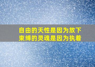 自由的天性是因为放下束缚的灵魂是因为执着