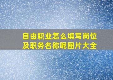 自由职业怎么填写岗位及职务名称呢图片大全