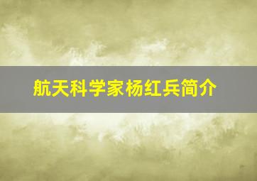 航天科学家杨红兵简介