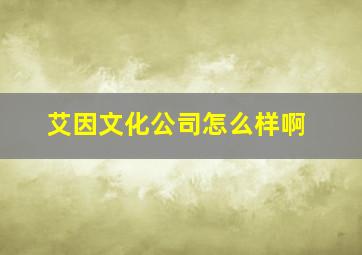 艾因文化公司怎么样啊