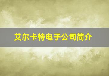 艾尔卡特电子公司简介