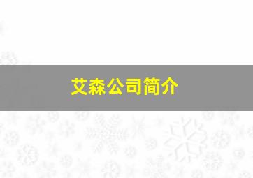 艾森公司简介