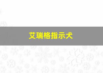 艾瑞格指示犬