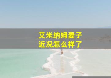 艾米纳姆妻子近况怎么样了