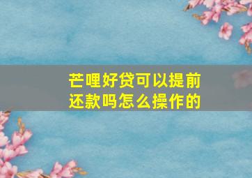 芒哩好贷可以提前还款吗怎么操作的