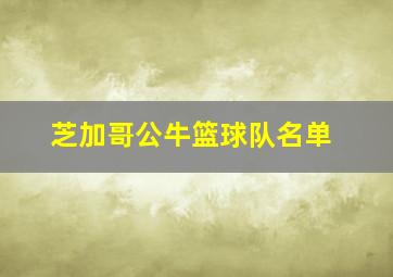 芝加哥公牛篮球队名单