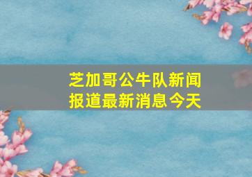 芝加哥公牛队新闻报道最新消息今天