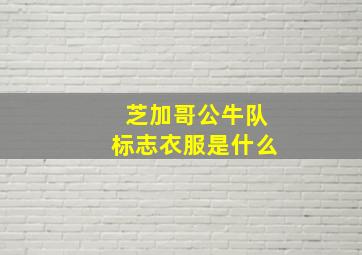 芝加哥公牛队标志衣服是什么