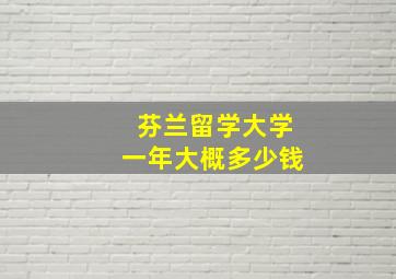 芬兰留学大学一年大概多少钱