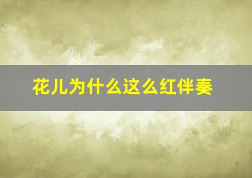 花儿为什么这么红伴奏