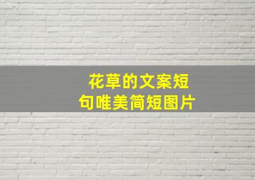 花草的文案短句唯美简短图片