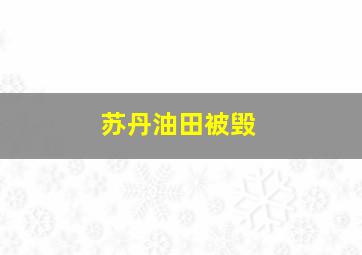 苏丹油田被毁