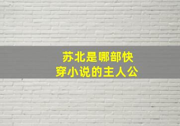 苏北是哪部快穿小说的主人公