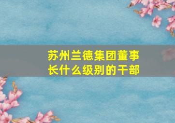 苏州兰德集团董事长什么级别的干部