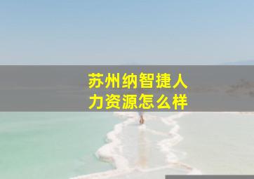 苏州纳智捷人力资源怎么样