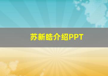 苏新皓介绍PPT