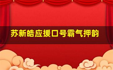 苏新皓应援口号霸气押韵