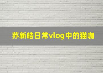 苏新皓日常vlog中的猫咖