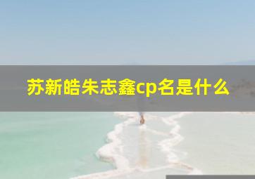 苏新皓朱志鑫cp名是什么