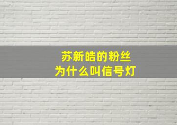 苏新皓的粉丝为什么叫信号灯