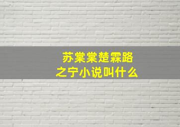 苏棠棠楚霖路之宁小说叫什么