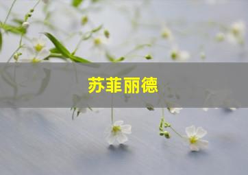 苏菲丽德