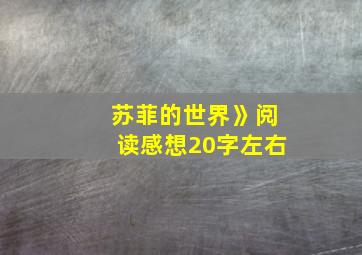 苏菲的世界》阅读感想20字左右