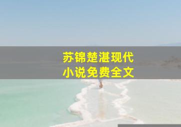 苏锦楚湛现代小说免费全文