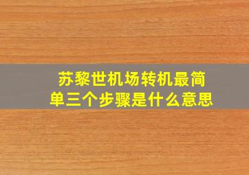 苏黎世机场转机最简单三个步骤是什么意思