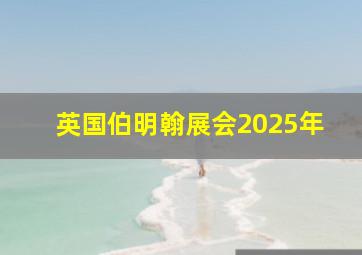 英国伯明翰展会2025年