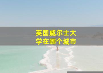 英国威尔士大学在哪个城市