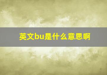 英文bu是什么意思啊