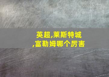 英超,莱斯特城,富勒姆哪个厉害