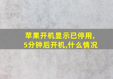 苹果开机显示已停用,5分钟后开机,什么情况