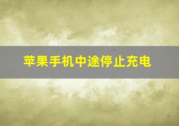 苹果手机中途停止充电