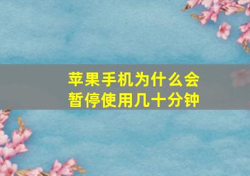 苹果手机为什么会暂停使用几十分钟