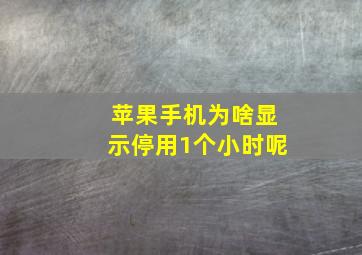 苹果手机为啥显示停用1个小时呢