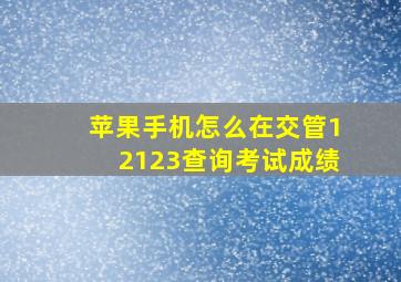 苹果手机怎么在交管12123查询考试成绩