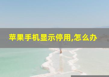 苹果手机显示停用,怎么办