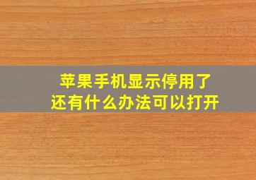 苹果手机显示停用了还有什么办法可以打开