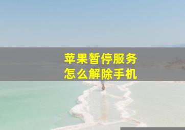 苹果暂停服务怎么解除手机